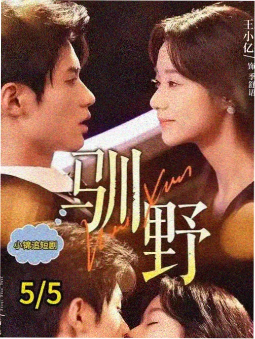 夜航西飞航空职场剧高清在线